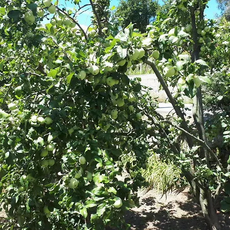 Casa rural Casa Do Paco