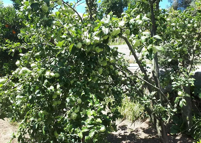 Εξοχικό σπίτι Casa Do Paco